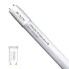 Noxion LED Rör T8 Avant Extreme (EM/Mains) High Output 8.2W 1150lm - 865 Dagsljus | 60cm - Ersättare 18W